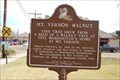 Image for Mount Vernon Walnut