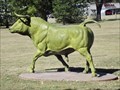 Image for Green Steer - Canadian, TX