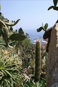 Image for Jardin Exotique de Monaco - Monaco
