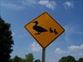 Image for Duck crossing the other way - Nashville TN