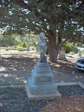 Image for Wallace Children Monument - I.O.O.F. Cemetery - Prescott, Arizona, USA