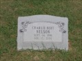 Image for 104 - Charlie Bert Nelson - Dexter North Cemetery - Dexter, TX