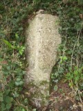 Image for Granite Direction Marker near Lamerton, Devon.