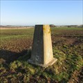 Image for O.S. Triangulation Pillar - West Hills, Angus.