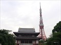 Image for Tokyo tower and Zojyo ji -In to the sun