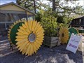 Image for Sunflower Cafe - Nashville, TN