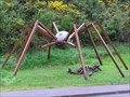 Image for Daddy Long Legs Spider. Wellington. New Zealand.