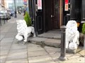 Image for 2 white lions guarding the White Lion – Manchester, UK