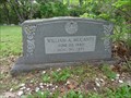 Image for William A. McCants - Old Chatfield Cemetery - Chatfield, TX