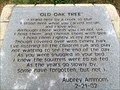Image for Old Oak Tree - Blue Creek Veterans Memorial Park - Ponce de Leon, FL, USA