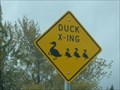 Image for Big Duck, Little Ducks - Syracuse, UT
