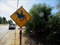 Image for Horseback Riding, Granite Bay, California