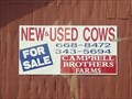 Image for New and Used Cows for sale - Jackson TN