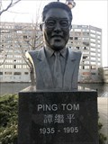 Image for Ping Tom - Chicago, IL