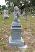 Image for Minnie Florence Carrell - Oak Lawn Cemetery - Lake City, FL