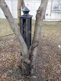Image for Fence Pillar Eating Tree - Montreal, Qc, Canada