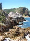 Image for The Featherbed Nature Reserve - Knysna, South Africa