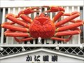 Image for Giant Crab - Kyoto, Japan