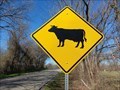 Image for Cattle Crossing - Parker County, TX