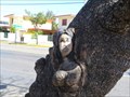 Image for Tree sculpture - Varadero, Cuba