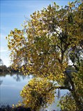 Image for San Joaquin River