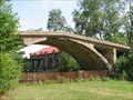 Image for Walking Bridge in Como Park, St. Paul, MN