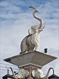 Image for Elephants—Krabi Town, Thailand.