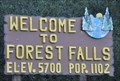 Image for Forest Falls ~ Population 1102