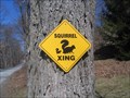 Image for Squirrel Crossing - Pleasant Valley, NY