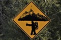 Image for Hitchhiking sasquatches – Xwakw’áyak’in / Cheakamus 11