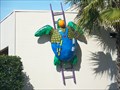 Image for Contractor Turtle - Clearwater, FL