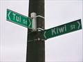 Image for Tui and Kiwi.  Taupo. New Zealand.