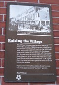 Image for Raising the Village