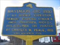Image for Mastodon Dig 1800