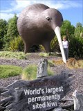 Image for Tasman Giant Kiwi