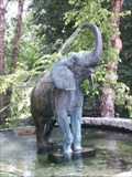 Image for The Elephant Fountain