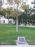 Image for Sister City Tree - Amarillo, TX
