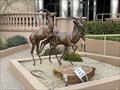 Image for Gazelles - Danville, CA