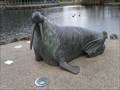 Image for Walrus - Sunderland, UK