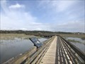 Image for Saltwater Marsh - Murrells Inlet, South Carolina