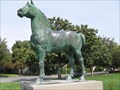 Image for Morgan Horse - Santa Clara, CA