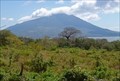 Image for Maderas - Nicaragua