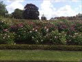 Image for Rose Gardens, Hampton Court Palace, Surrey, UK
