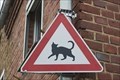 Image for Cats Crossing - Erftstadt-Erp, Germany