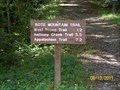Image for Bote Mountain Trail (Laurel Creek Road end) - Great Smoky Mountains National Park, TN