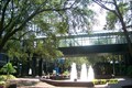 Image for One Tampa City Center Fountain