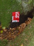 Image for Small Soda Can Fairy Door - Portpatrick, Scotland, UK