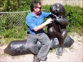 Image for Chatting with the Beaver - Toronto Island, Ontario, Canada