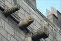Image for Gargoyles St. Nicholas Church - Galway Ireland