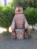 Image for Bear Chair - "Bear With Me" - Garberville, CA
